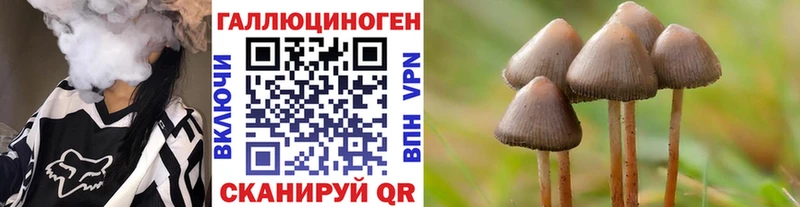Псилоцибиновые грибы мицелий  Купить  Минусинск 
